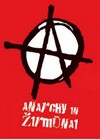 Anarchy in Zirmunai (2010)3.jpg